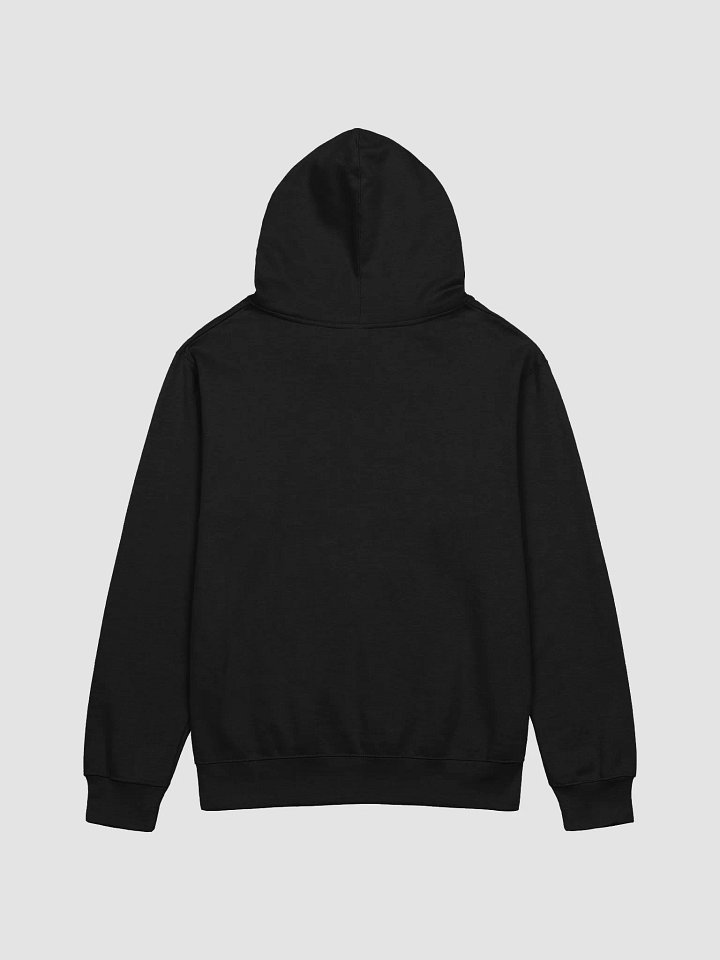 Damn Turtle - Legacy Collection Hoodie product image (9)