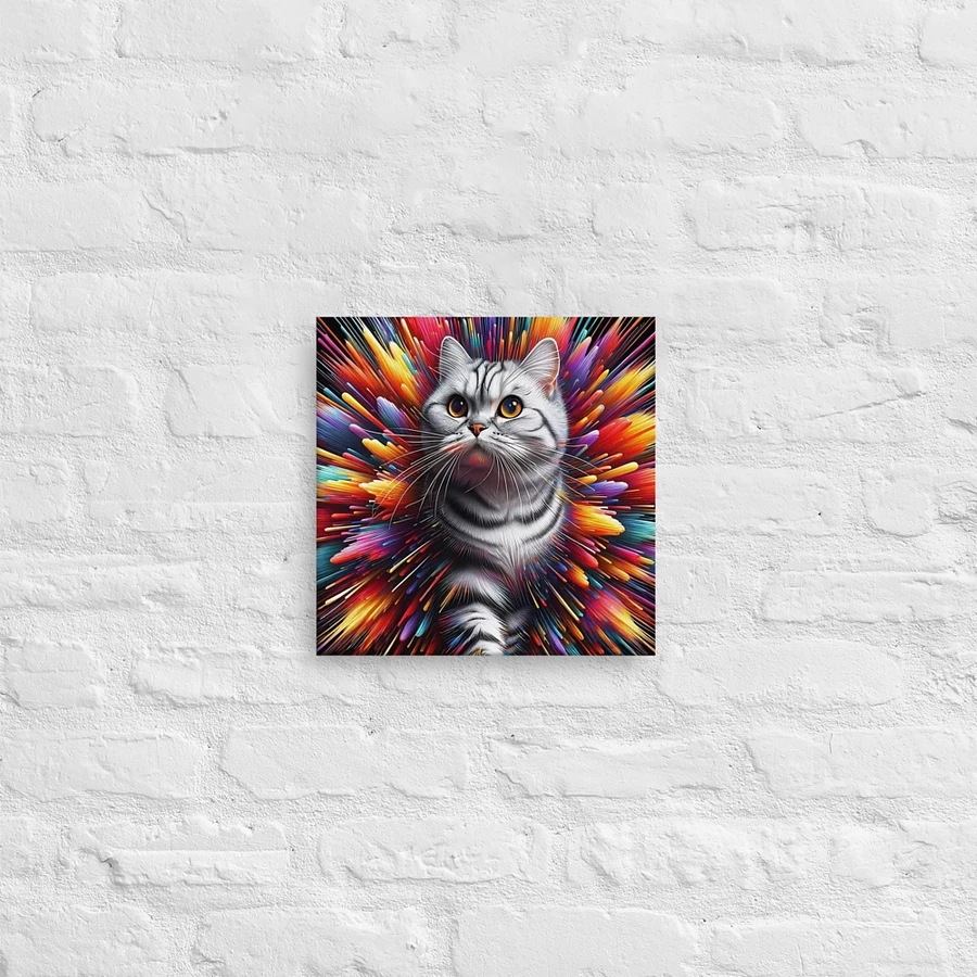 Canvas (in): American Shorthair product image (12)