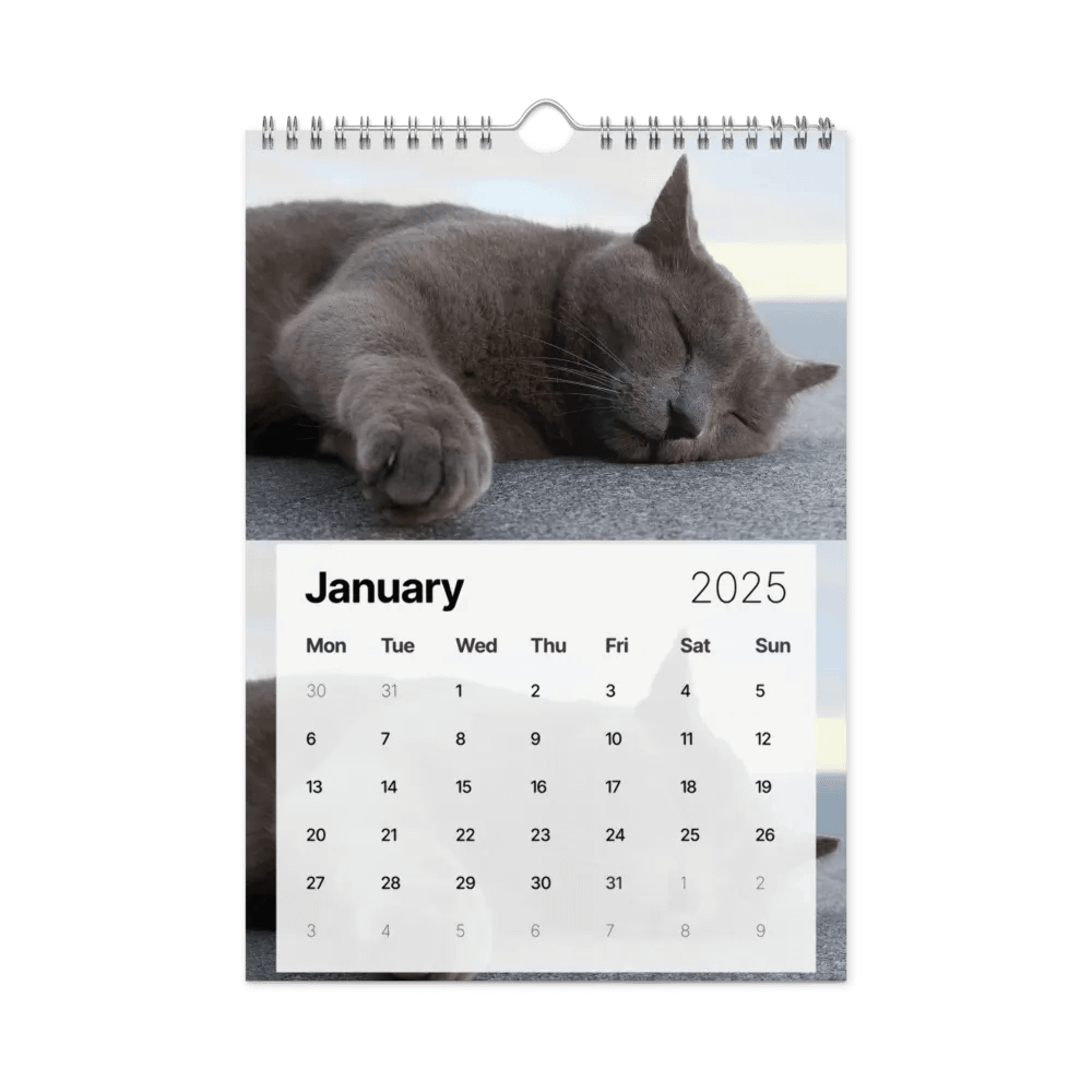 Calendar 2025 - Cats *meow* product image (6)