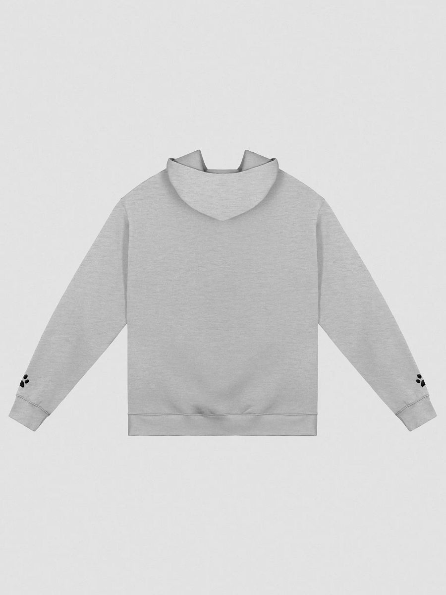 paw-sitive hoodie product image (2)