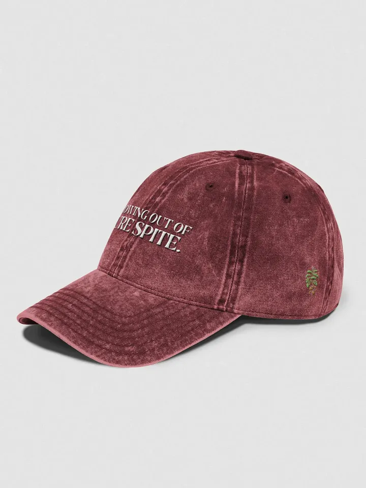 GROWING OUT OF PURE SPITE vintage wash dad hat product image (15)