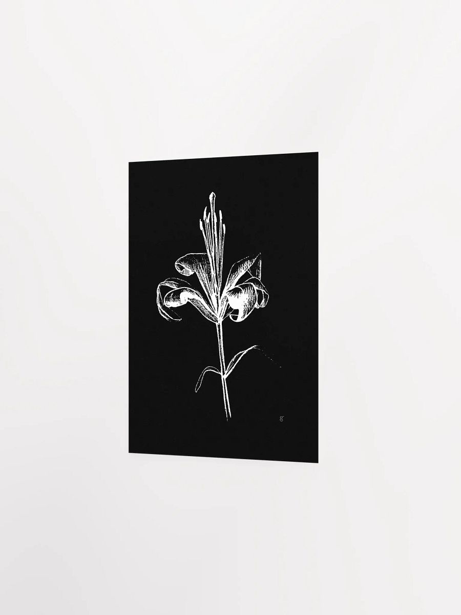 Ethereal Lily Sketch Poster - Fine Flower Dark product image (2)
