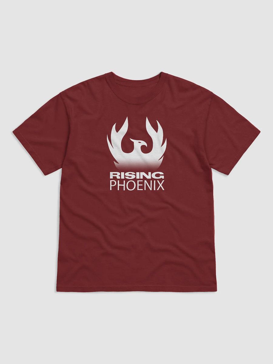Maroon Tee Comfort Colors product image (1)