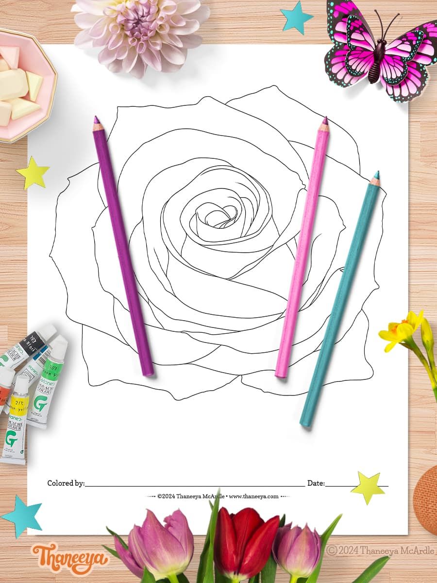Rose - Single Coloring Page product image (1)