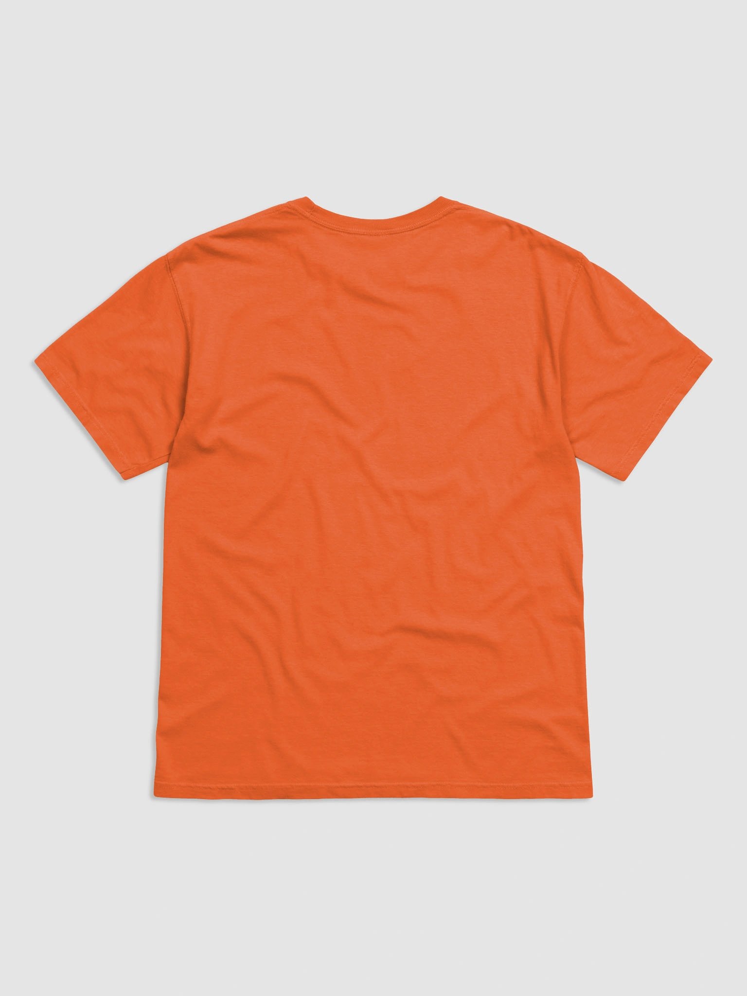 Healthy & Wealthy Vegetarian T-Shirt product image (2)