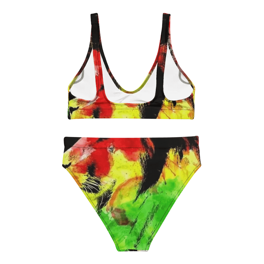 Rastafarian-Themed High-Waisted Bikini product image (2)