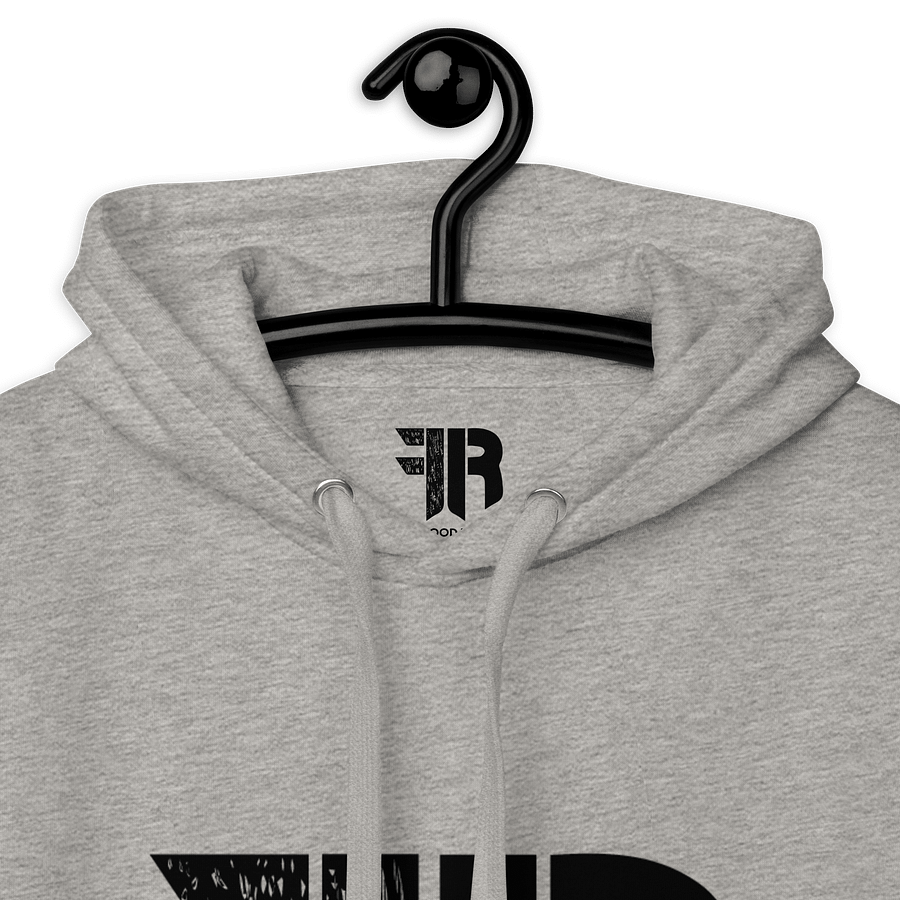 FR CORE LOGO HOODIE (GRAY) product image (2)