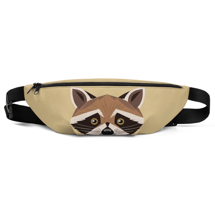 Fanny The Raccoon product image (2)