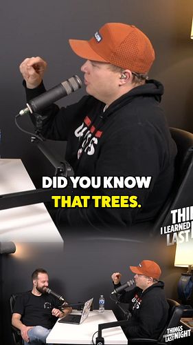 I read a book about trees and I can't shut up about it #tree #nature  #naturefacts #funfacts #podcast #reels