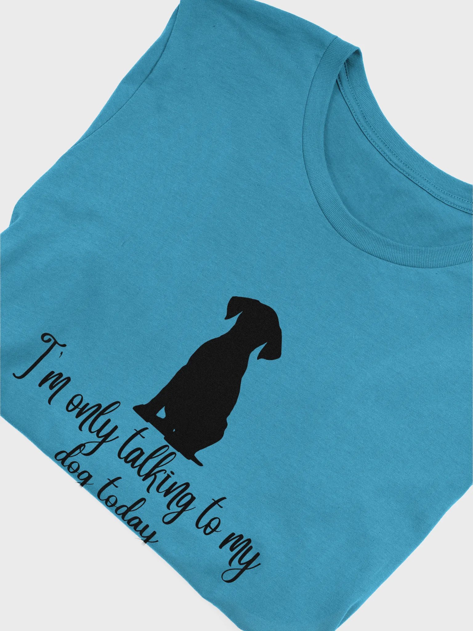 I'm only talking to my dog today t-shirt product image (5)