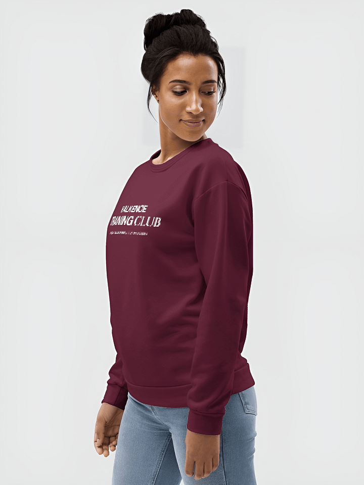 Training Club Sweatshirt - Plum product image (1)