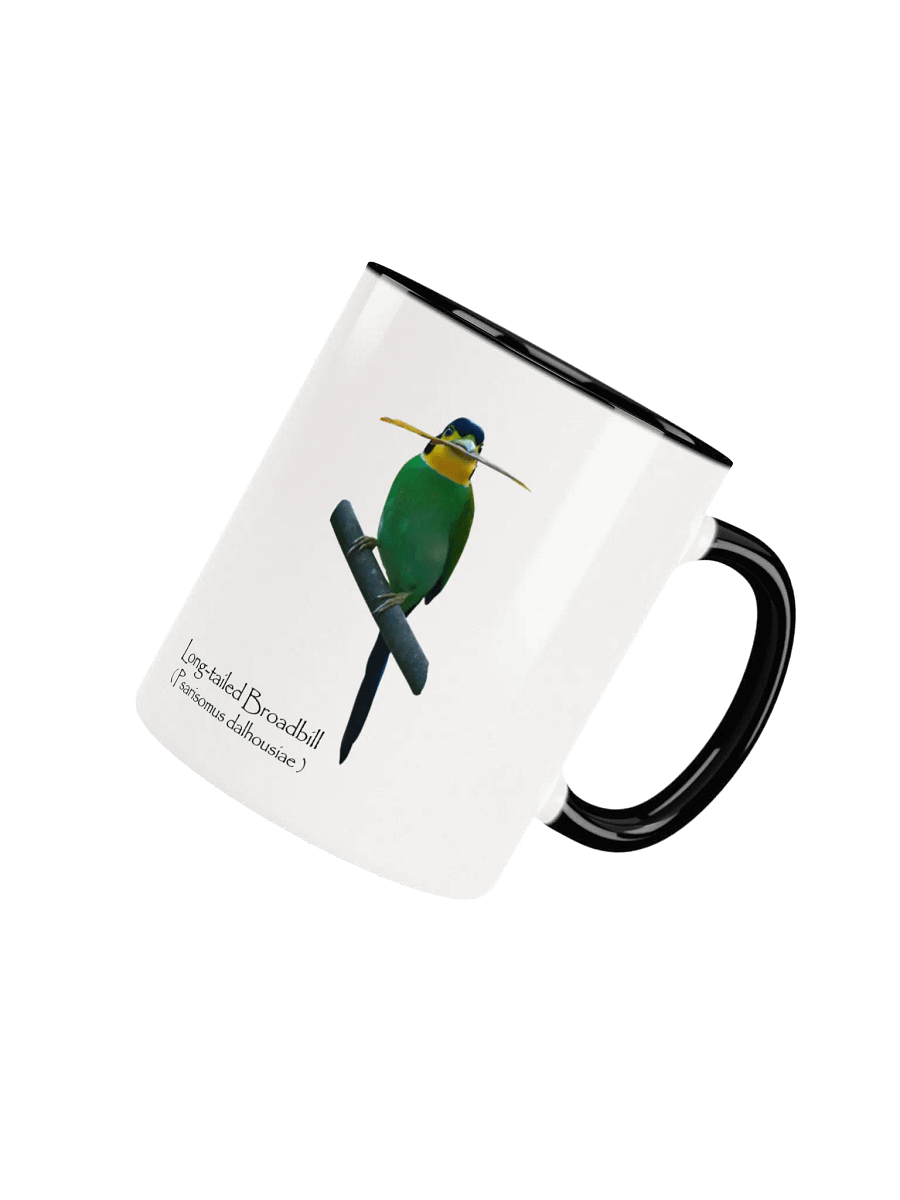 Long-tailed Broadbill mug. product image (4)