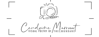 Cendrine Marrouat - Artist