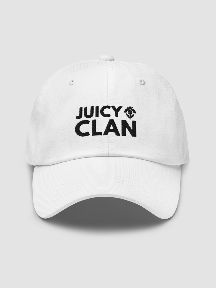 Embroidered Dad Hat - JUICY CLAN product image (2)