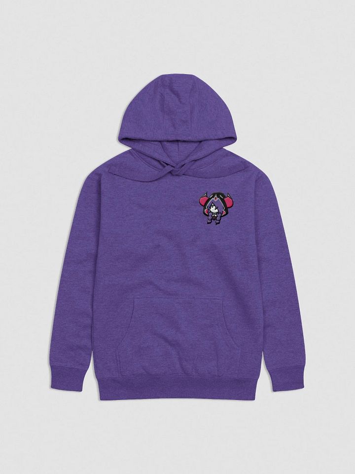 BiS Era Embroidered Hoodie (zzZ) +12 Alt. Colors product image (2)