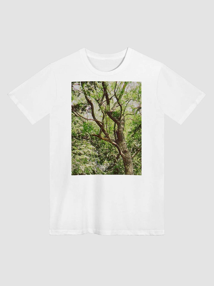 EARTH TONE DIVINE MUSIC TEE product image (1)