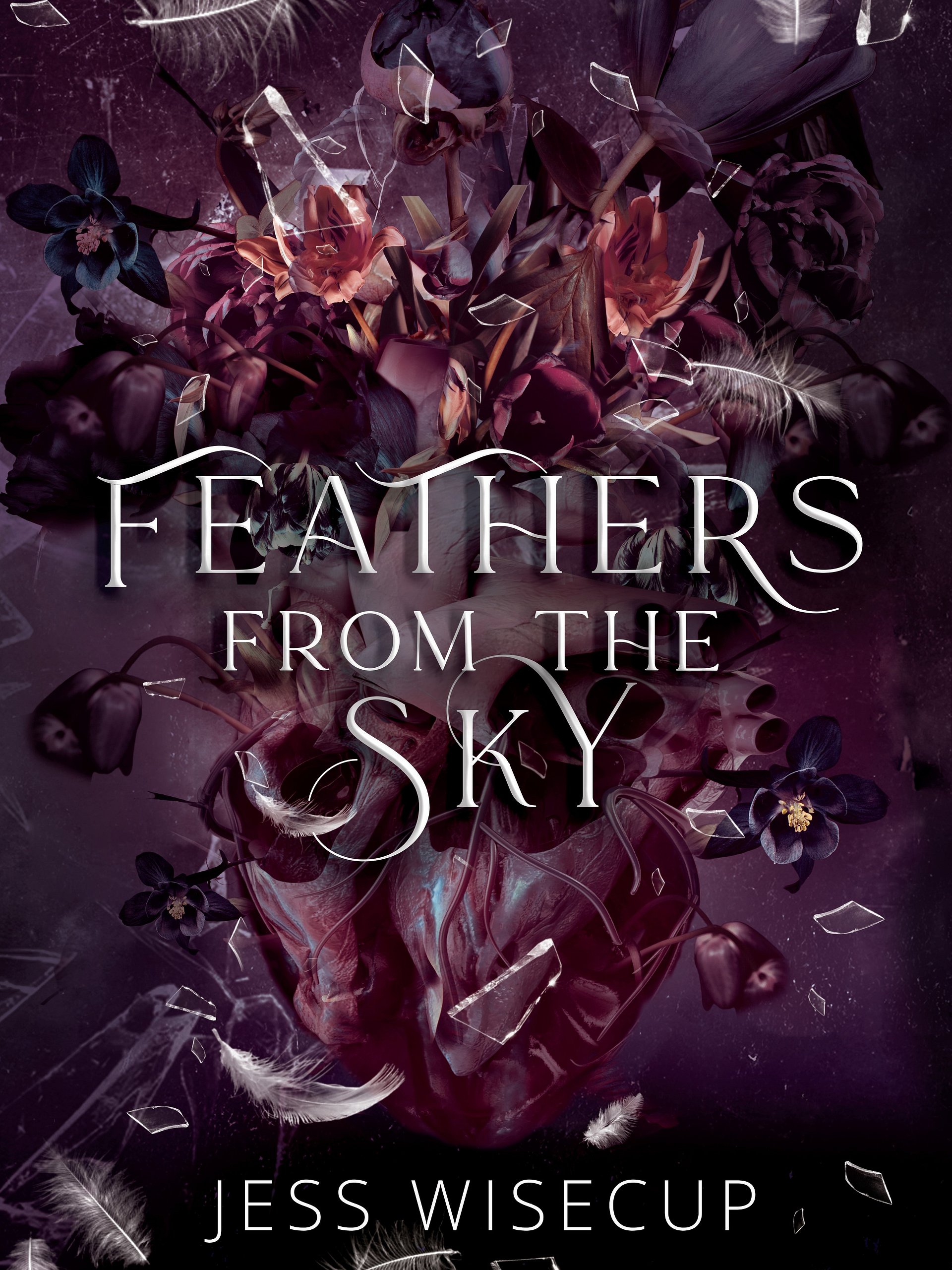 Feathers From The Sky Foiled Special Edition product image (1)