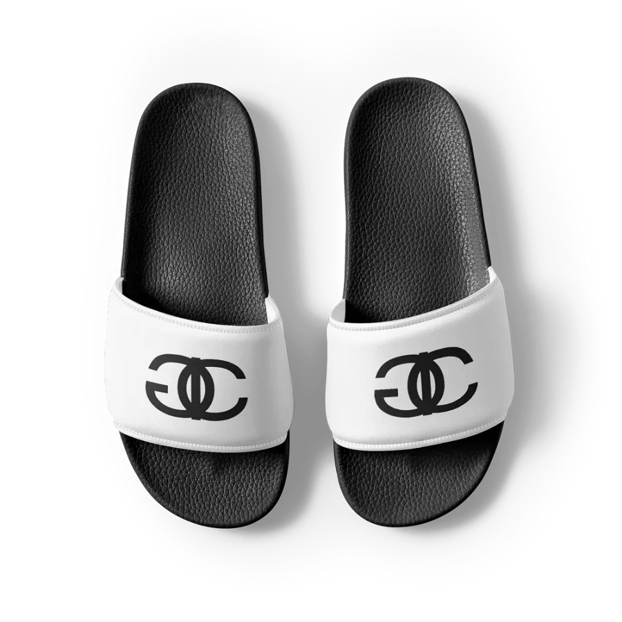 IGC Slides product image (5)