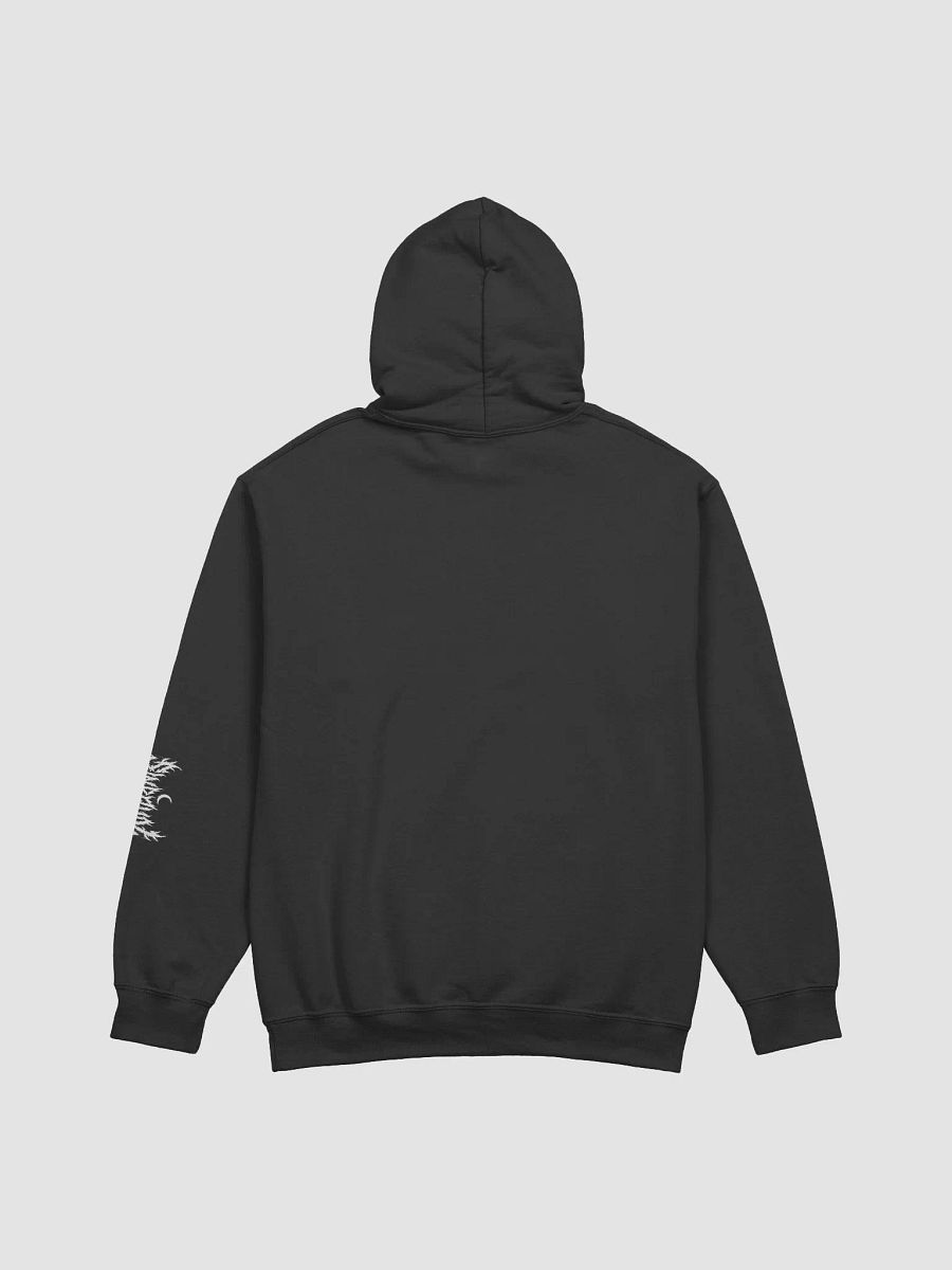 Sinpaiin Hoodie product image (38)