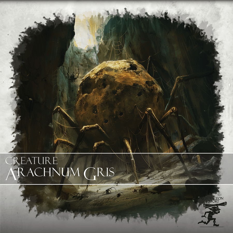 Arachnum Gris product image (1)