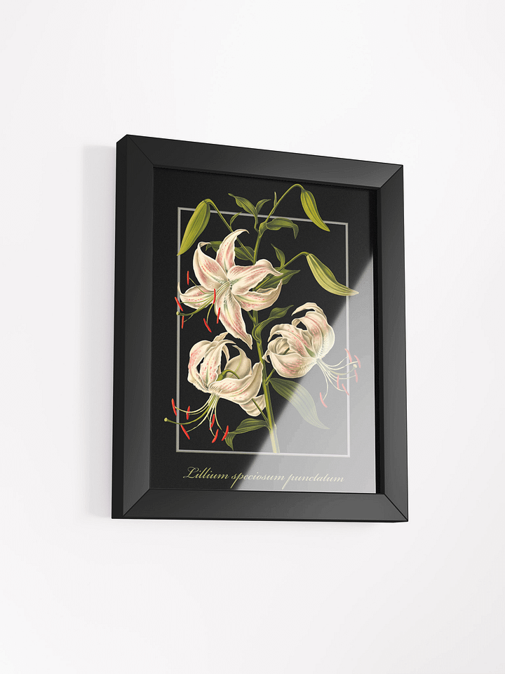 Japanese Lily Framed Matte Poster product image (2)