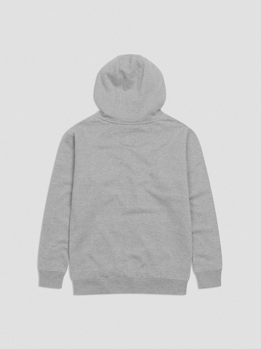 Family Friendly Content Hoodie product image (3)