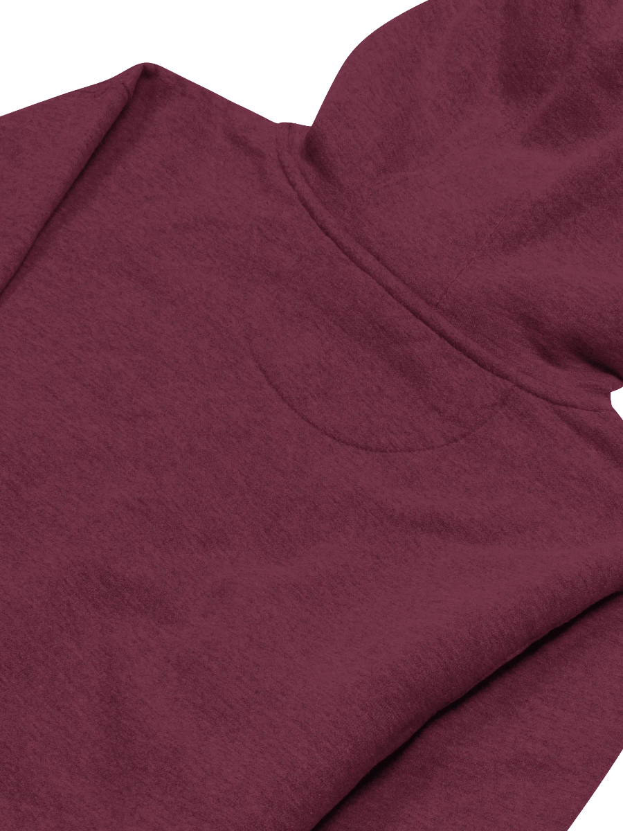 Oregon Born Intertwined - Hoodie product image (4)