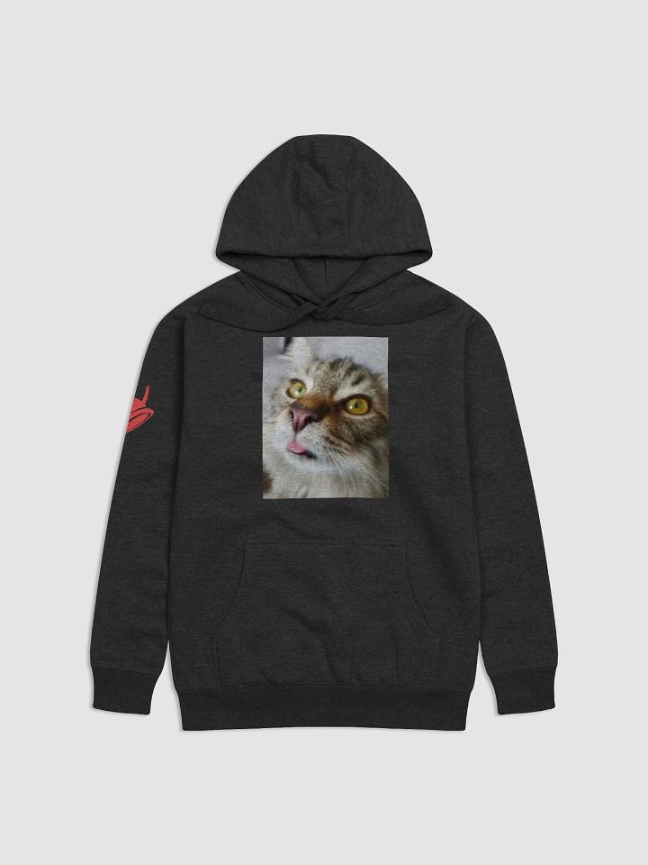 FidgGOON Hoodie product image (6)