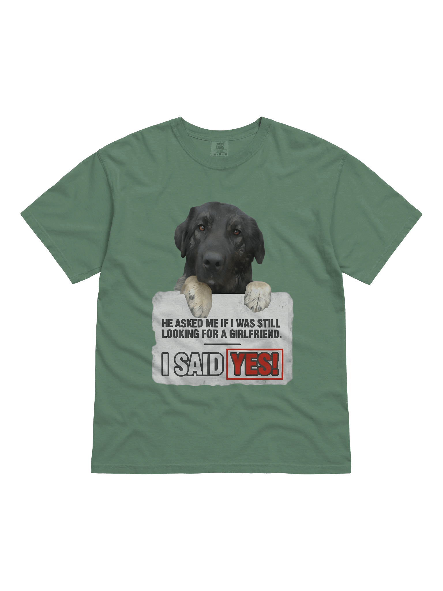 Funny Quote T-Shirt with Dog Design | Best Single Guy's Gift product image (1)