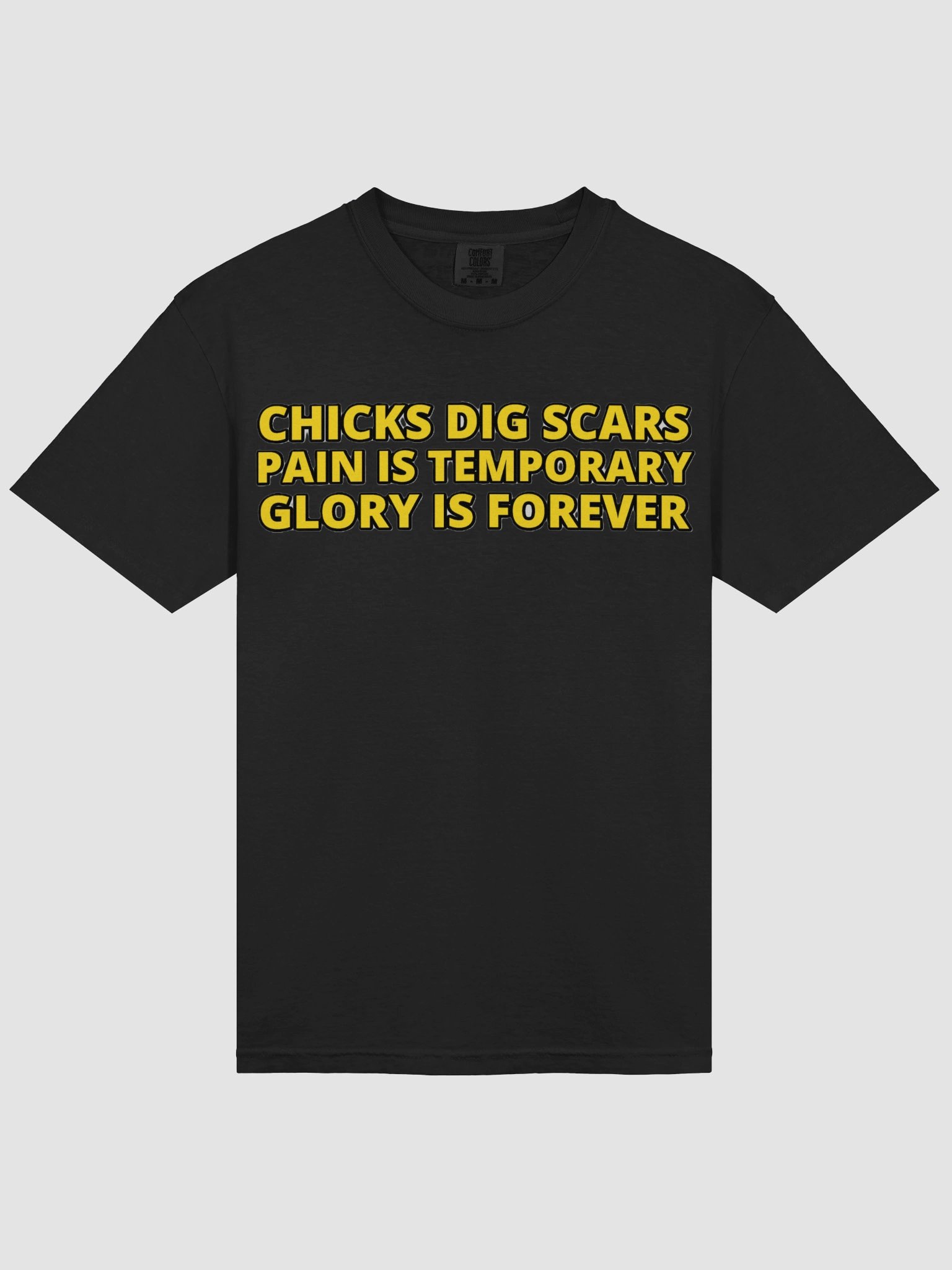 CHICKS DIG SCARS, PAIN IS TEMPORARY, GLORY IS FOREVER product image (34)