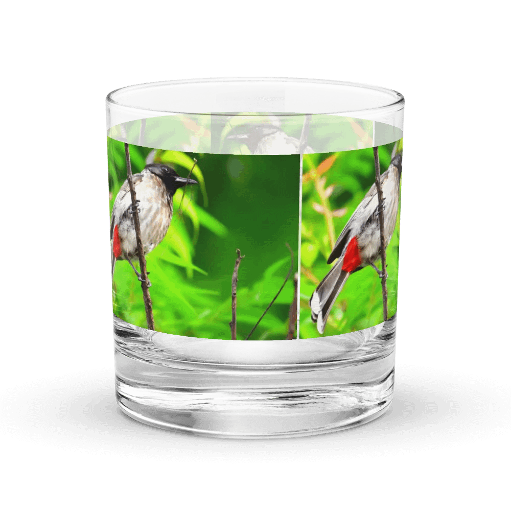 IUCAA Birds GLASS product image (3)