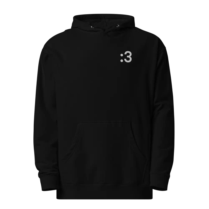 :3 Embroidered Hoodie product image (1)