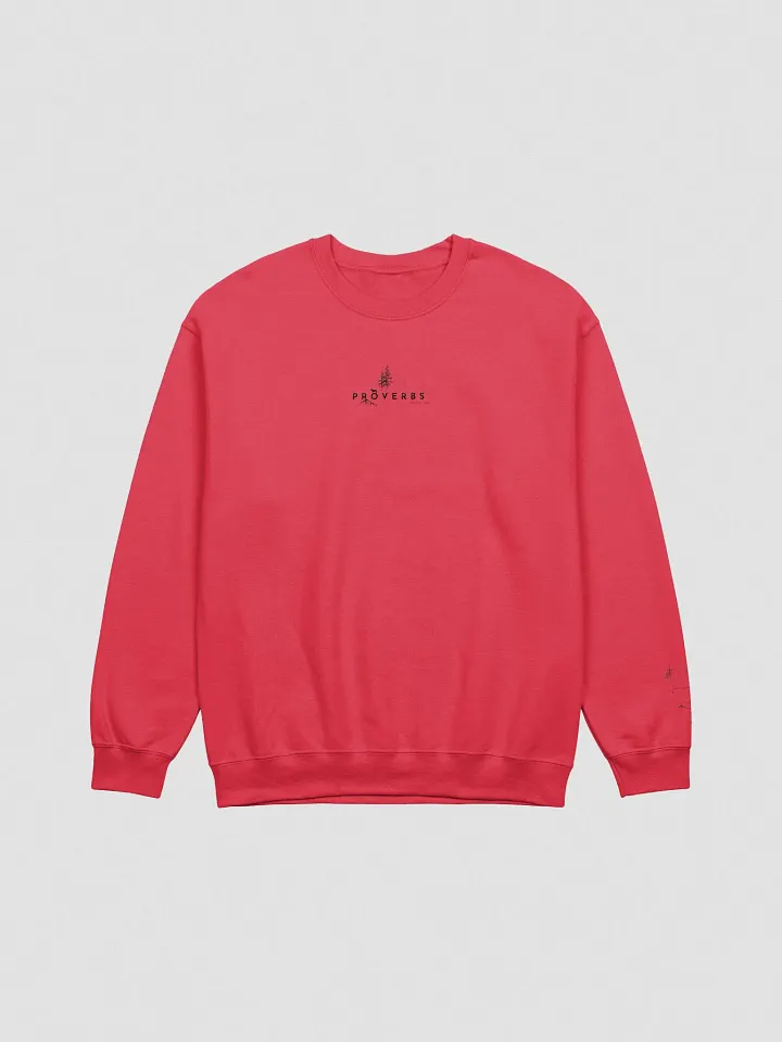 Proverbs Wisdom Embroidered Sweatshirt product image (22)