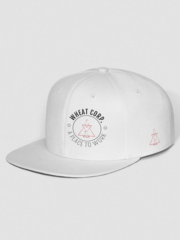 Generic Hat product image (2)