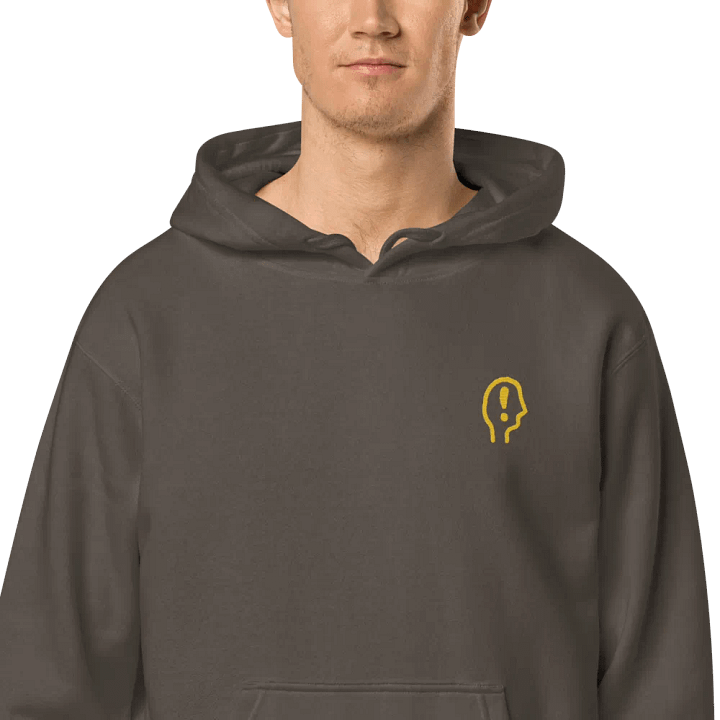EXCLAIMING MENTALLY (gold) embroidered pigment hoodie product image (2)