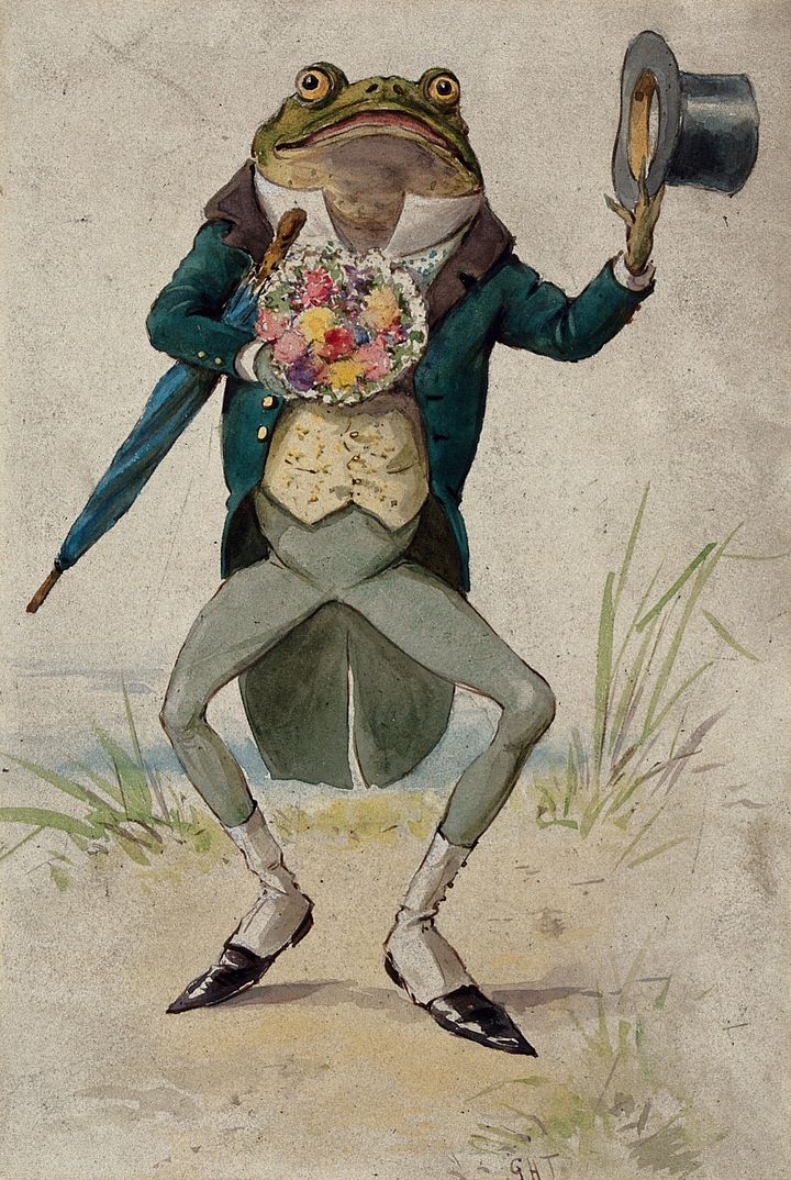 Vintage Art Download - G. Hope Tait, A toad in morning dress, holding an umbrella and a bunch of flowers. Watercolor c. 1900 product image (1)