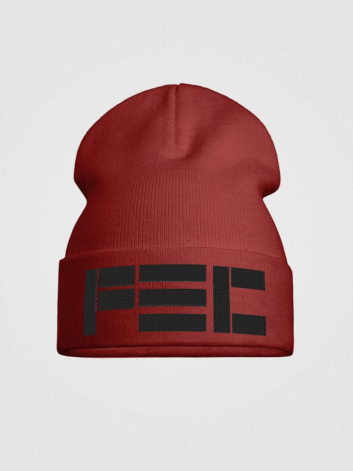 The Infamous PDC Beenie product image (1)