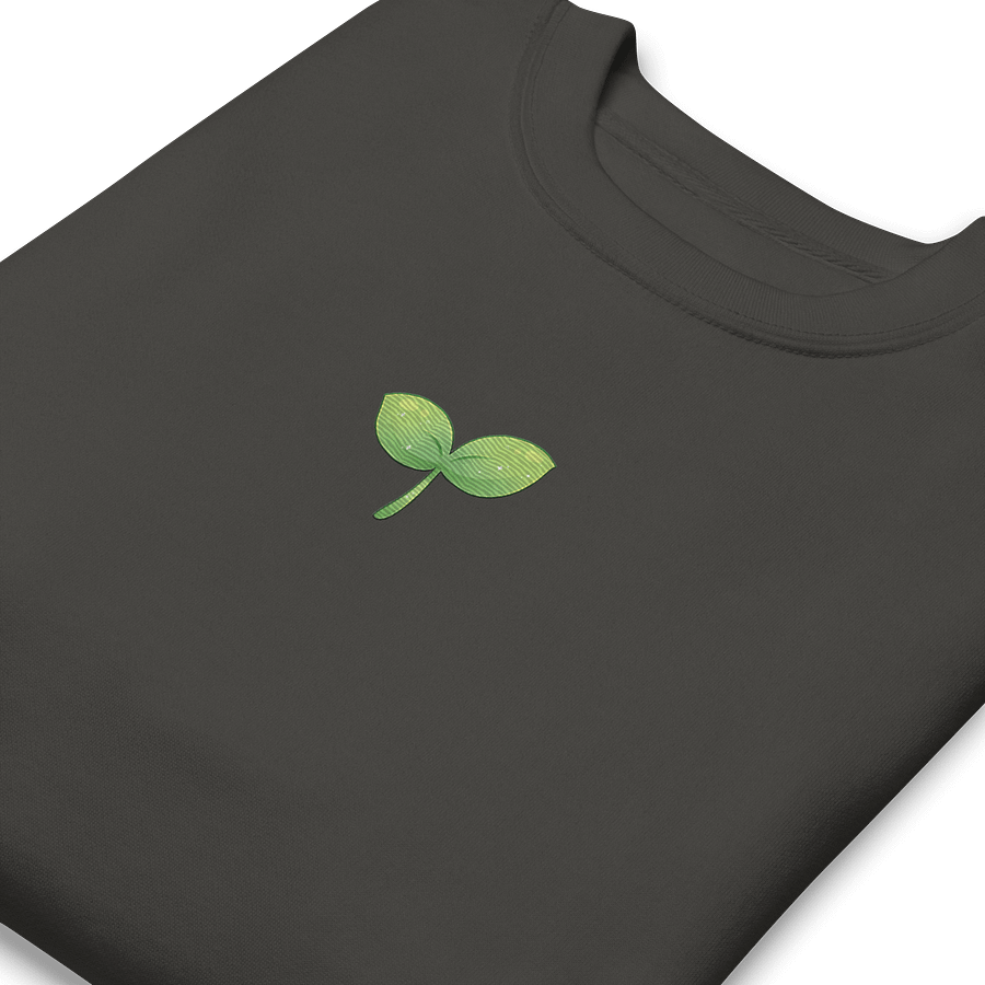 Sprout Embroidered Comfy Sweatshirt product image (6)