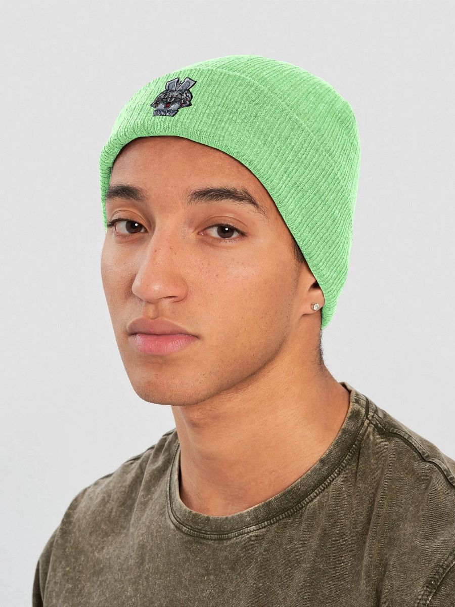 RAW47 Beanie product image (26)
