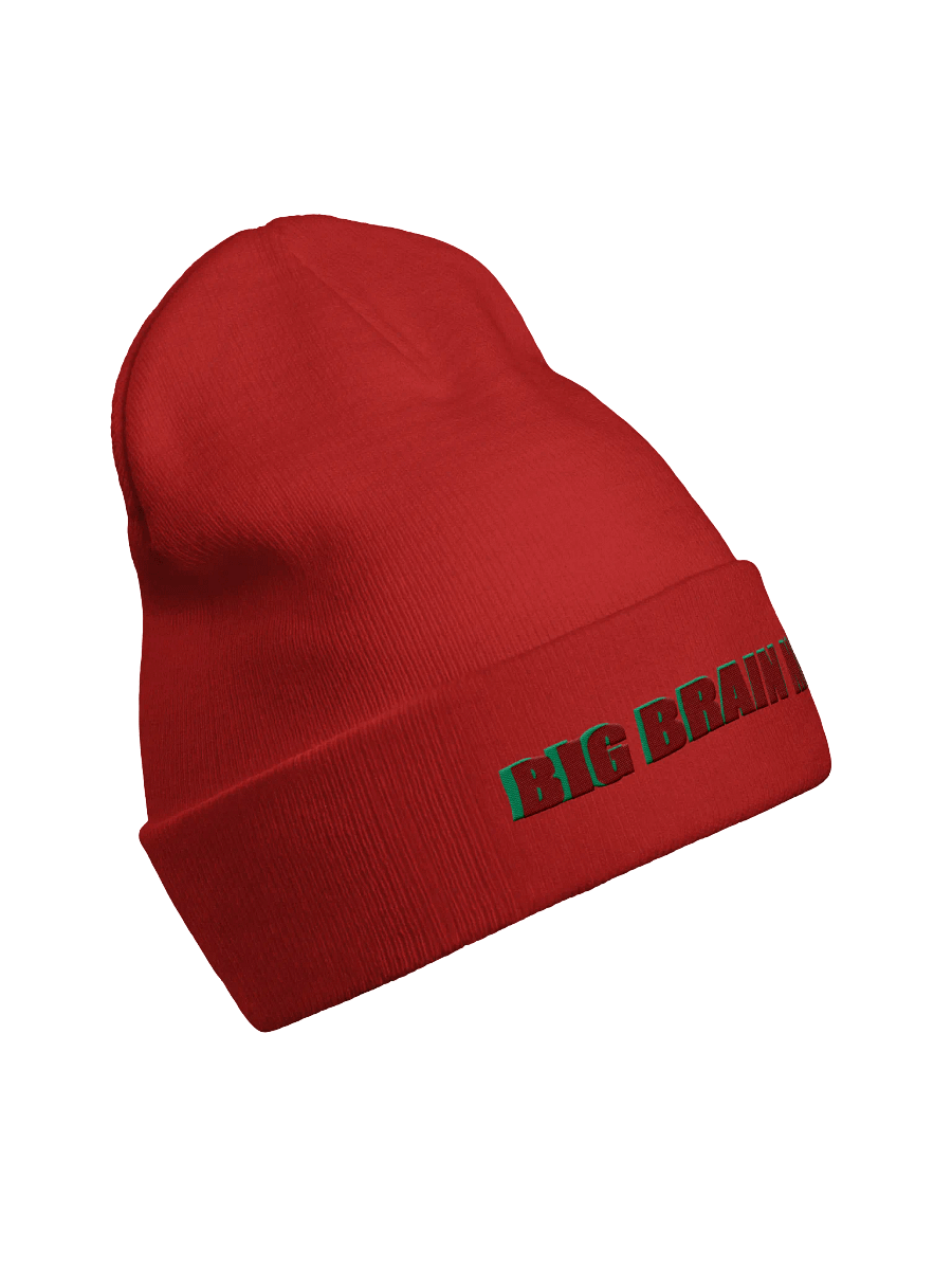 Big Brain Moves Knit Beanie product image (19)