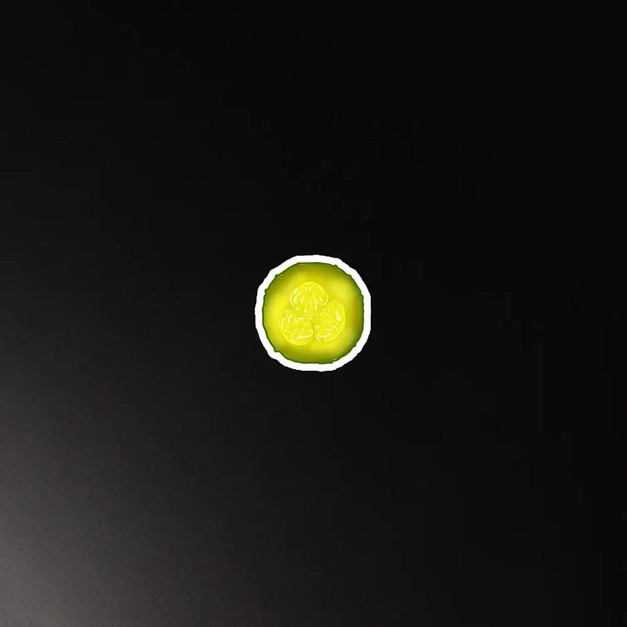 Pickle Slice Magent product image (5)
