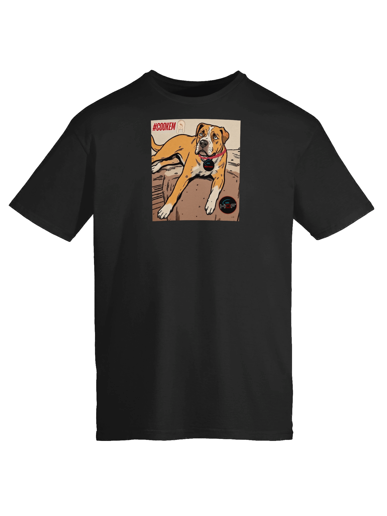 Norman "Cook 'em" Soft Tee product image (45)