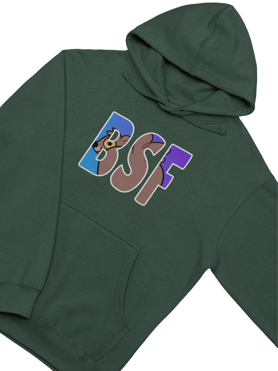 BSF Hoodie - Dark product image (3)