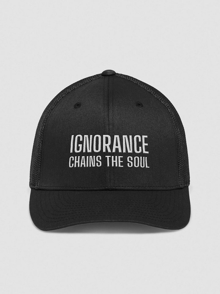 Cipher Chic Flexfit Hat | life motto IGNORANCE CHAINS THE SOUL product image (2)