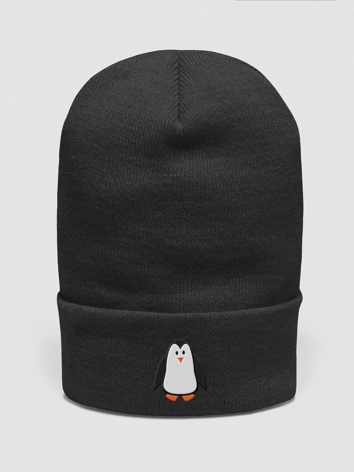 TLC Beanie product image (1)