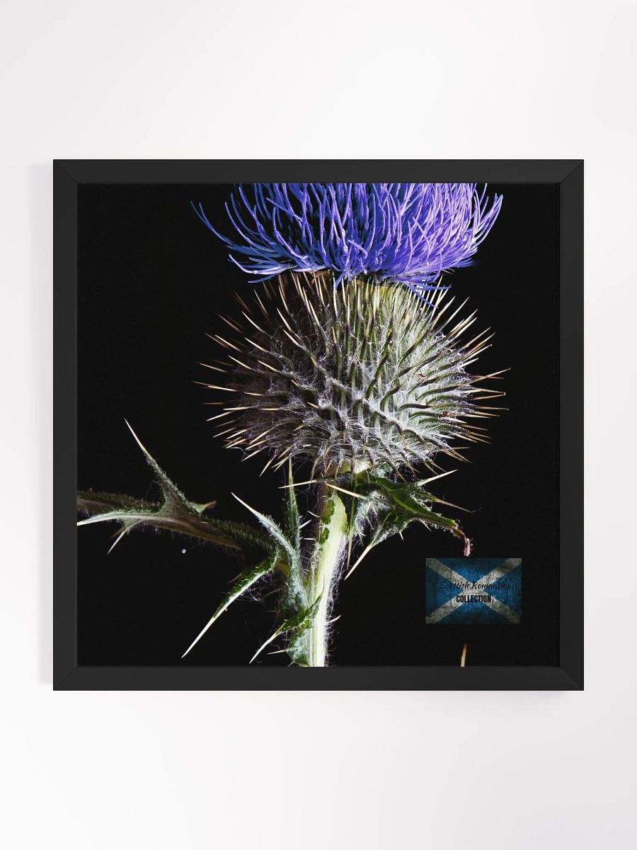 Scottish Romantics Framed Photo product image (1)