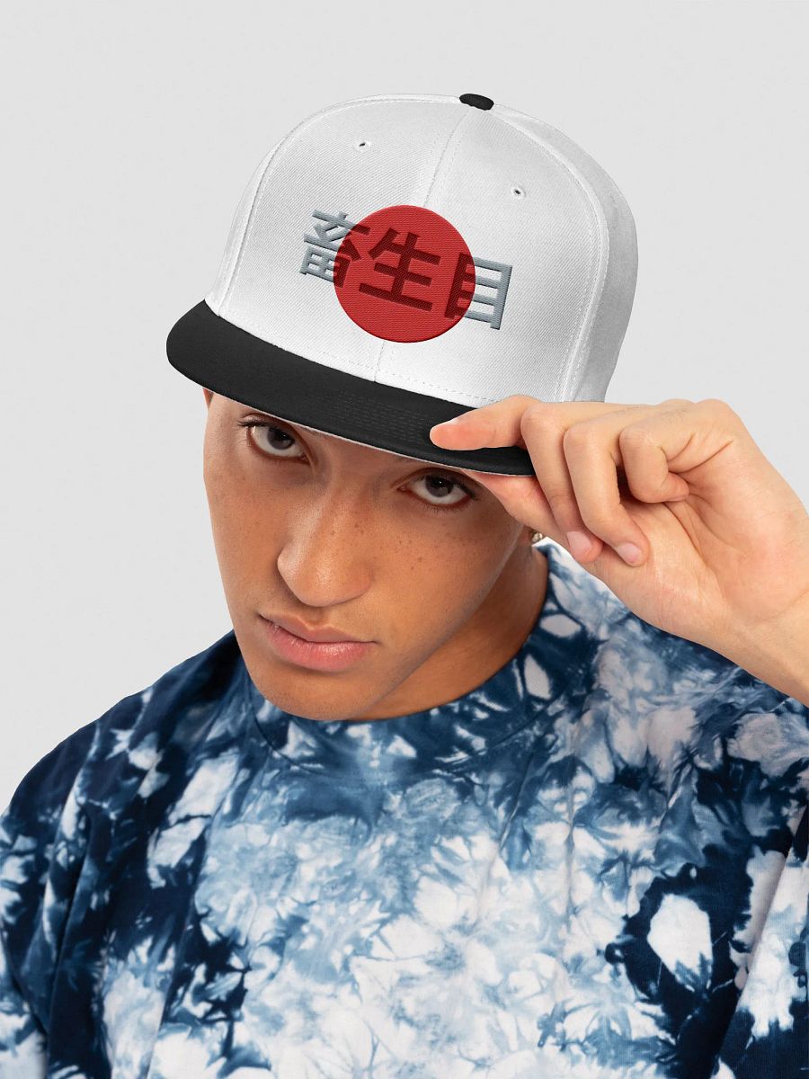Japan product image (9)