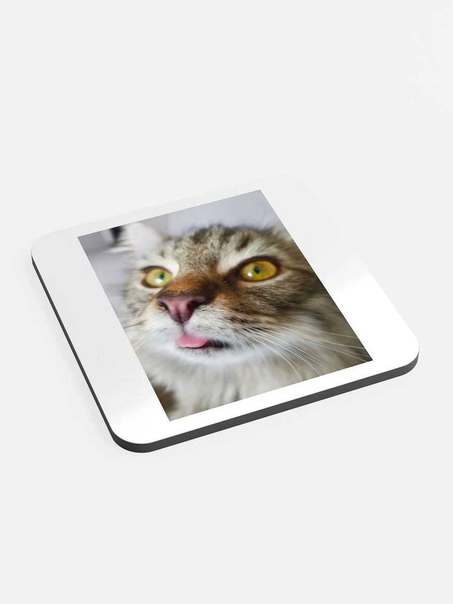 FidgGOON Coaster product image (2)