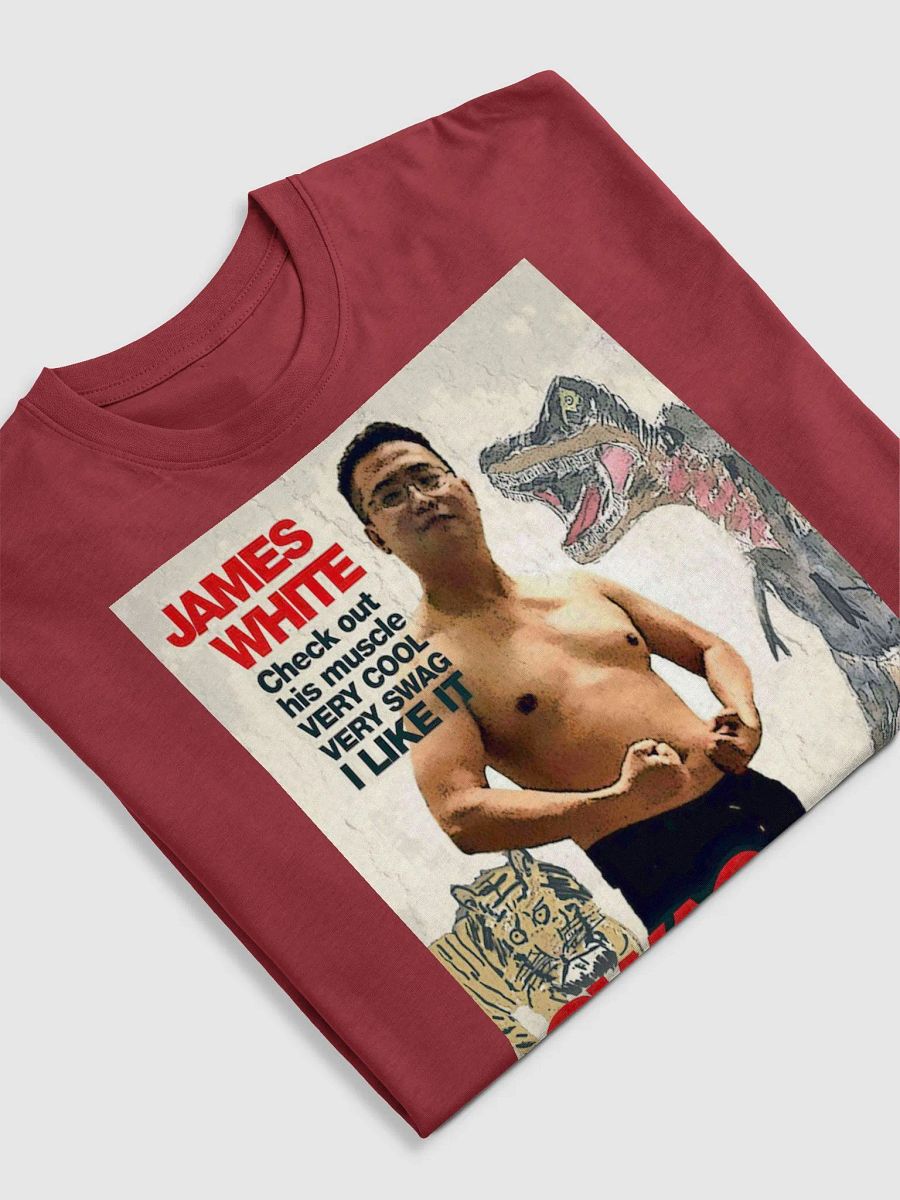 Cotton Heritage Men's Premium Heavyweight Tee: swag warrior product image (29)