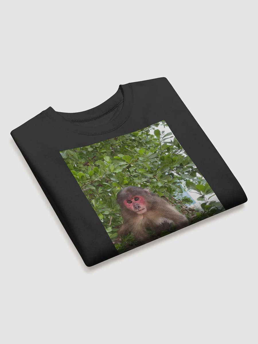Monkey Coca product image (3)
